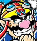 Play Find Wario