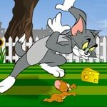 Play Tom and Jerry Mouse About the House